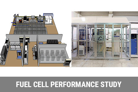Fuel cell performance test
